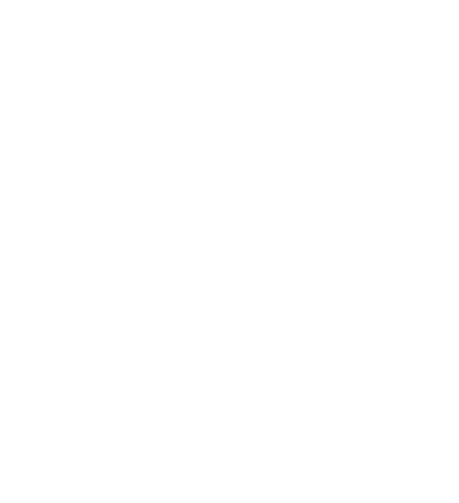 Butterfly Effect 2023 - Central Okanagan Hospice Association