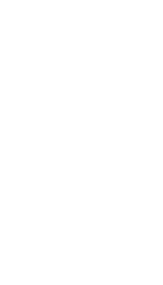 Butterfly Effect - 2024 Logo - White2a